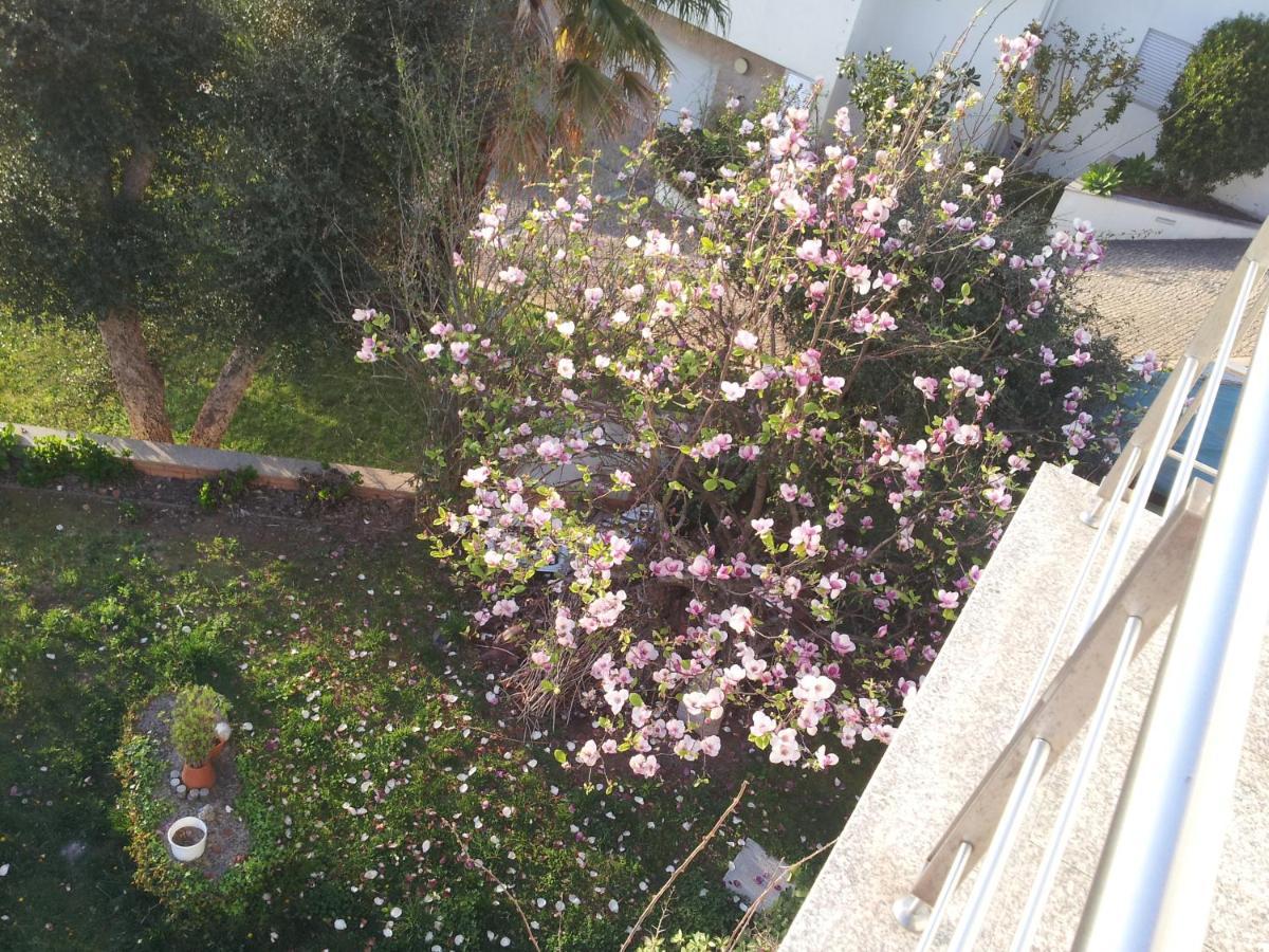 Com O Douro A Vista Bed & Breakfast Jovim Exterior foto