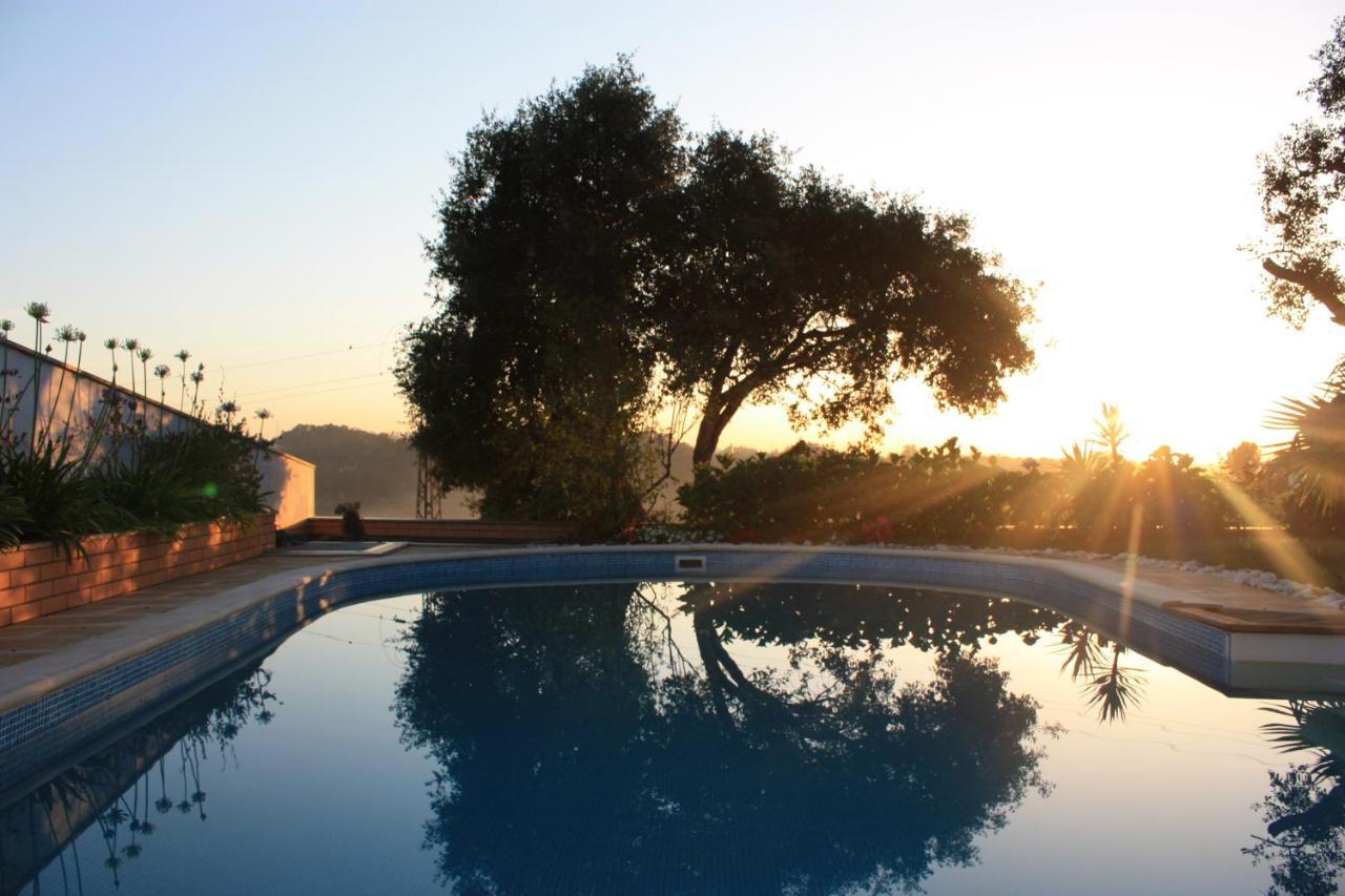Com O Douro A Vista Bed & Breakfast Jovim Exterior foto